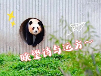 ​来了！福宝专属表情包第二弹