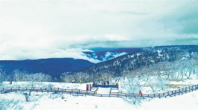 ​凤凰山 惹人醉