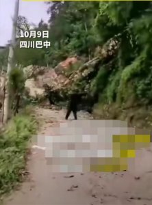 ​四川巴中山石滚落，砸中房屋致一村民被困！当地回应救援进展