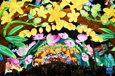 ​四川自贡国际恐龙灯会亮灯