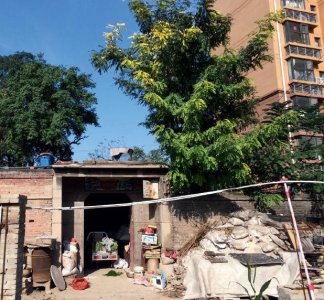 ​贾敬龙案和回不去的北高营村