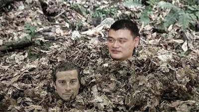 ​姚明携贝爷上演“荒野求生”