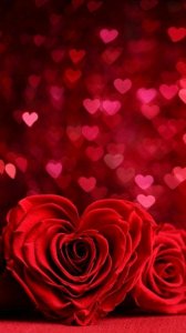 ​浪漫玫瑰头像壁纸，花中魅力女人