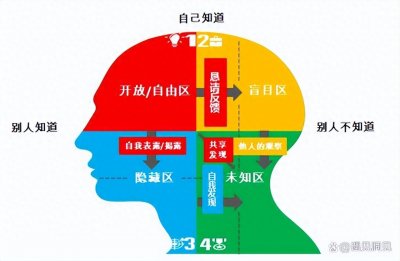 ​乔哈里视窗——认识自己