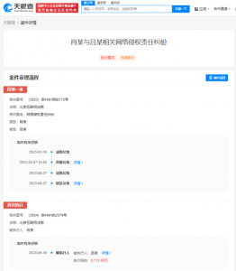 ​肖战俩黑粉被法院强执 执行标的均为8713元