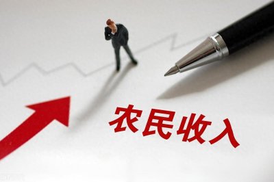 ​农民工工资问题：月结待遇与拖欠现象的根源与解决之道