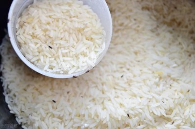 ​米虫怎么处理干净最有效（家里有米虫怎样最快清除掉）