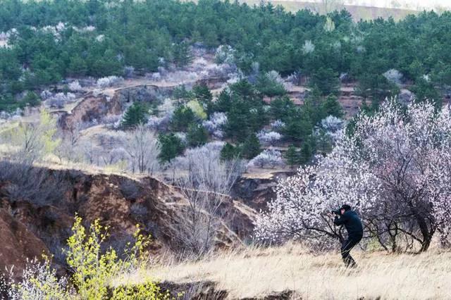 敖汉旗属于哪个市(内蒙古敖汉旗属于哪个市)