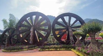 ​莫道桑榆晚，为霞尚满天