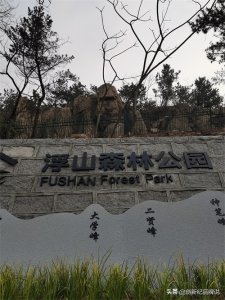 ​浮山已成为＂福山＂