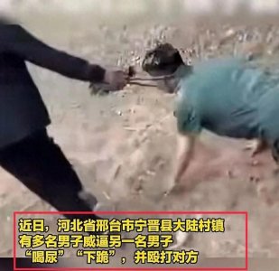 ​人神共愤！河北男子遭多人霸凌下跪喝尿当狗，警方介入教育局回应