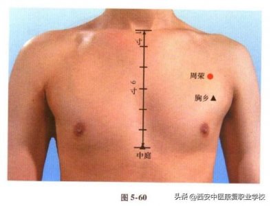 ​足太阴脾经经穴——周荣穴