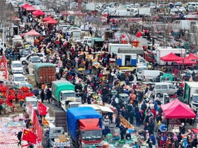 ​泊里大集烟火气大片来了，真“乡”| 迎龙年④