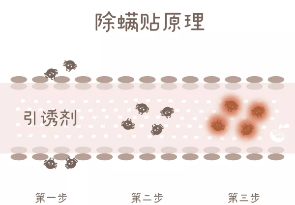 被子晒多久可以杀死螨虫,夏天被子晒多久可以杀死螨虫图18