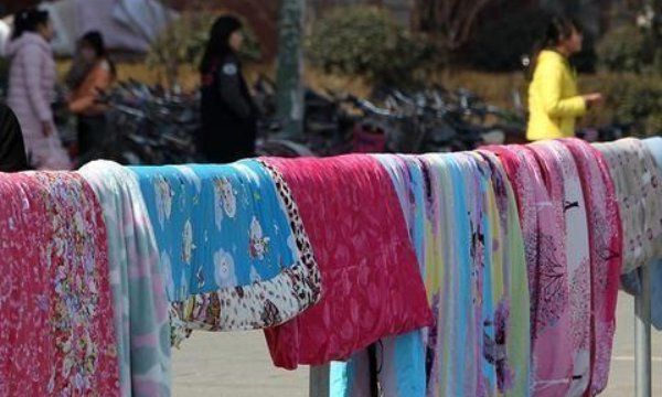 被子晒多久可以杀死螨虫,夏天被子晒多久可以杀死螨虫图3