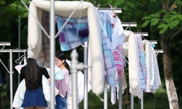 被子晒多久可以杀死螨虫,夏天被子晒多久可以杀死螨虫图4