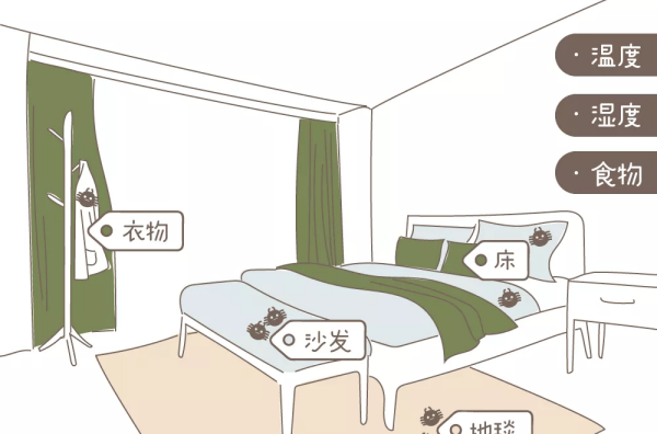 被子晒多久可以杀死螨虫,夏天被子晒多久可以杀死螨虫图13
