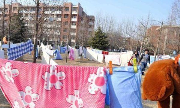 被子晒多久可以杀死螨虫,夏天被子晒多久可以杀死螨虫图2