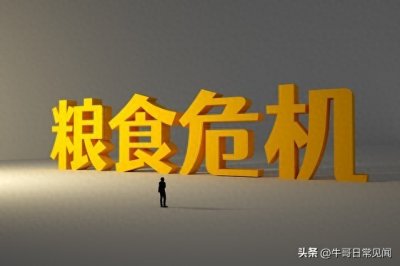 ​中国为什么要引进转基因？