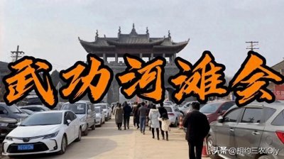 ​【武功镇河滩会】简介