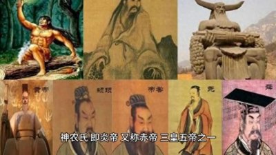 ​神农氏为何尝百草？