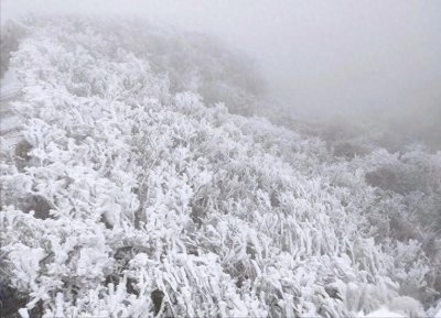 ​广东即将下雪