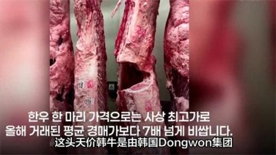 ​韩国高端韩牛拍卖创纪录：一头牛售价达1亿韩元引发热议