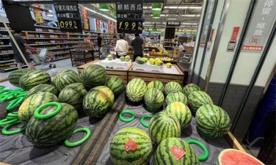 ​立秋后麒麟西瓜失宠 价格腰斩