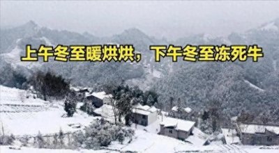 ​冬至寒潮将至？老祖宗的智慧能否预测今年严寒？农家备冬忙！