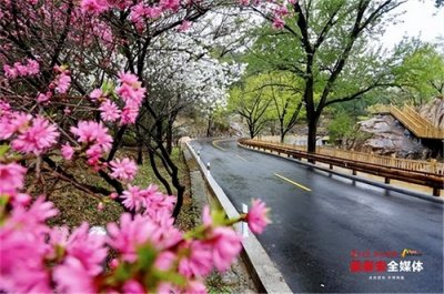 ​泰安：桃花峪游览路改造提升后全新亮相