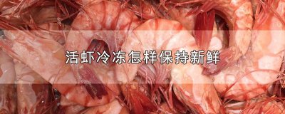 ​活虾冷冻怎样保持新鲜