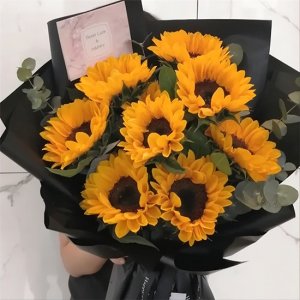 最常见的向日葵品种 这也太全了吧！