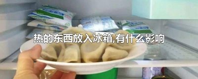 ​热的东西放入冰箱,有什么影响吗