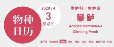 ​攀鲈：这世界上没有我迈不过去的坎儿