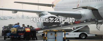 ​飞机如何托运白酒 飞机如何托运猫咪