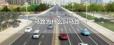 ​马路为什么叫马路