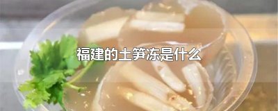 ​福建的土笋冻是什么