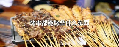 ​烤串都能烤些什么东西图片 烤串都能烤些什么东西 素