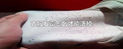 ​衣服发霉怎么才能洗掉