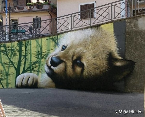 令人叫绝的3D立体画，走在街上会不会被吓到或惊艳到呢？