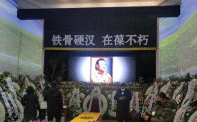 ​逆境中绽放的传奇：杨在葆一生的坚韧与爱