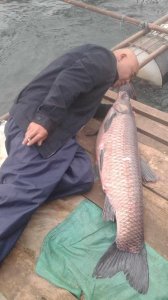 ​谁告诉你钓大鱼就一定要钓远钓深，抓住这几点，宜近不宜远