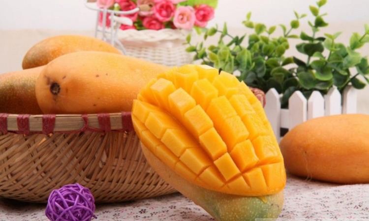 是什么样的感觉我不懂是什么歌