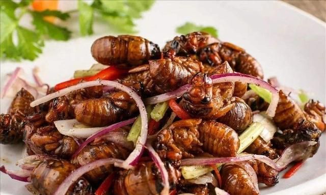 水煎包发源地，你听说山东人喜欢煎饼卷大葱从哪知道的?？图13