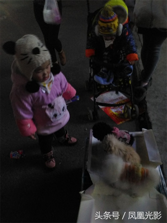 小伙夜里卖狗，国美狗一只才200，小朋友看了后喜欢得都不想走了