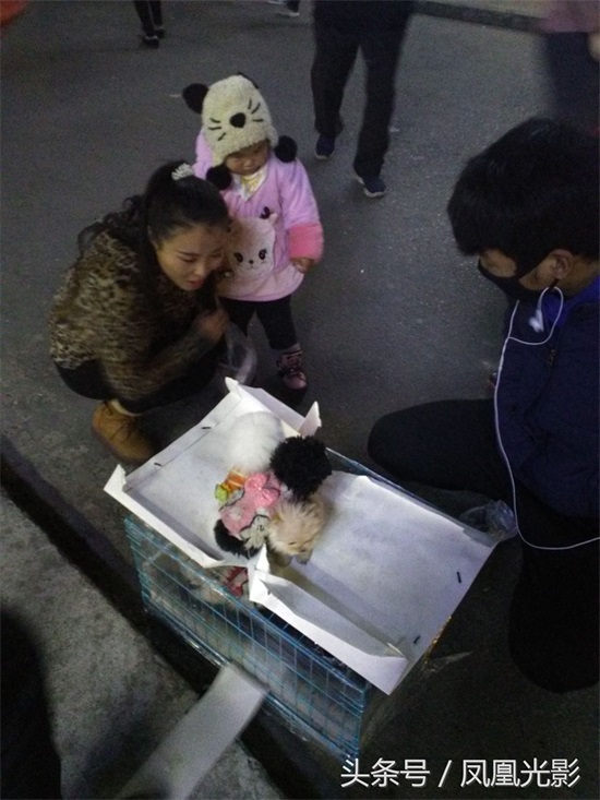 小伙夜里卖狗，国美狗一只才200，小朋友看了后喜欢得都不想走了