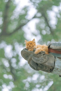 ​秋分句子（秋分朋友圈文案）