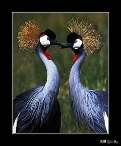 ​69幅世界金奖摄影作品欣赏，精妙绝伦，美不胜收！