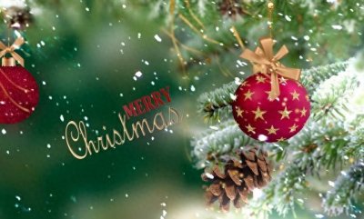 ​今年圣诞节不热闹是怎么回事？