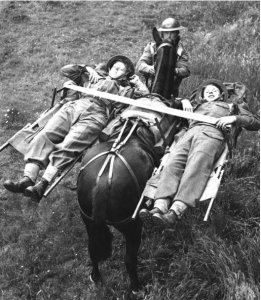 ​精选一组罕见的二战照片：二战名将意大利元帅格拉齐亚尼